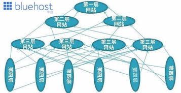 常见的SEO站群推广形式有哪些呢– Bluehost中文官方博客